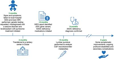 Case report: First case report of an Emirati child with a novel gene variant causing aromatic L-amino acid decarboxylase deficiency